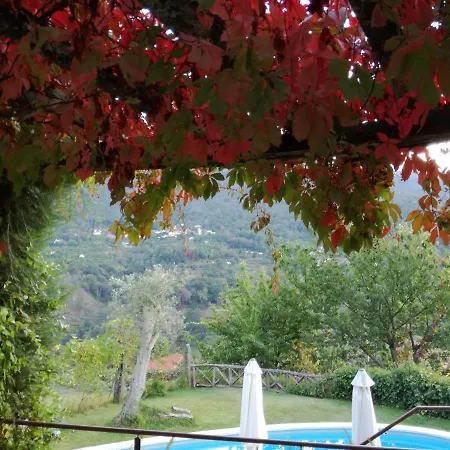 Casa Do Moleiro Cinfães