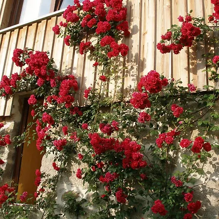 Gospodarstwo wiejskie Casa Do Moleiro Cinfães