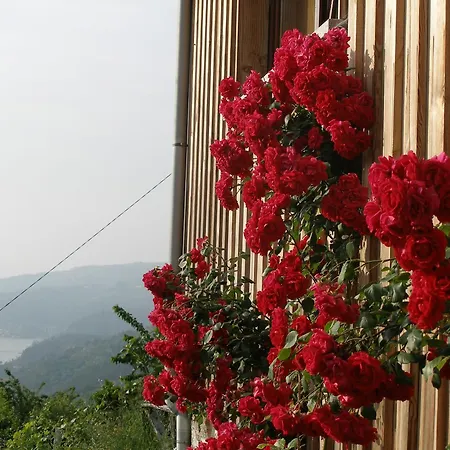 Casa Do Moleiro