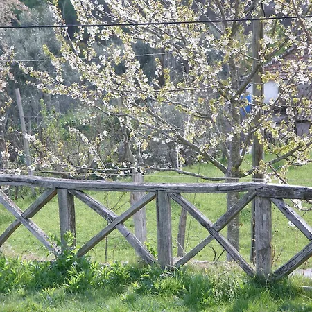 Casa Do Moleiro Cinfães