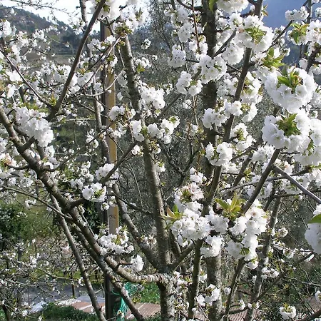 Landsted Casa Do Moleiro