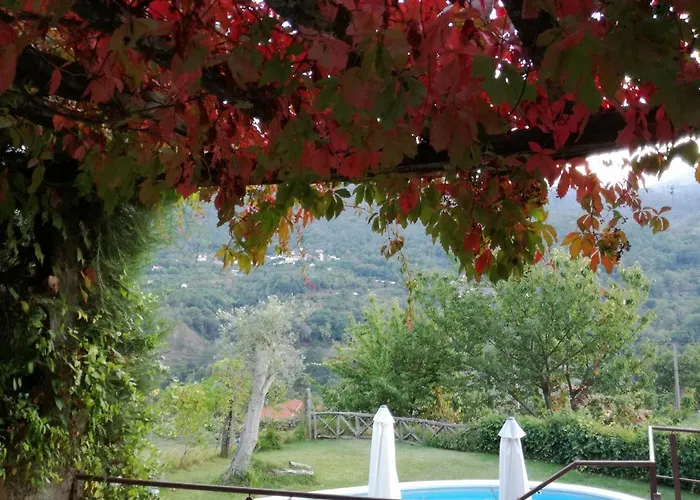 Casa Do Moleiro Cinfães