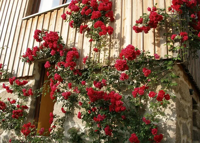 Gospodarstwo wiejskie Casa Do Moleiro Cinfães