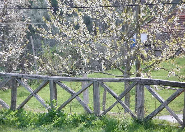 Casa Do Moleiro Cinfães