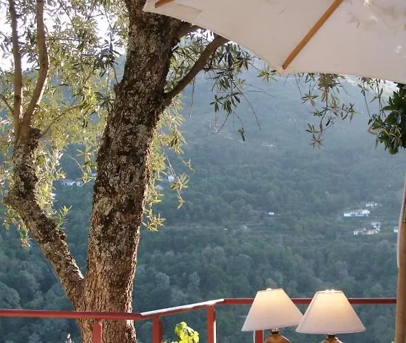 Casa Do Moleiro Cinfães