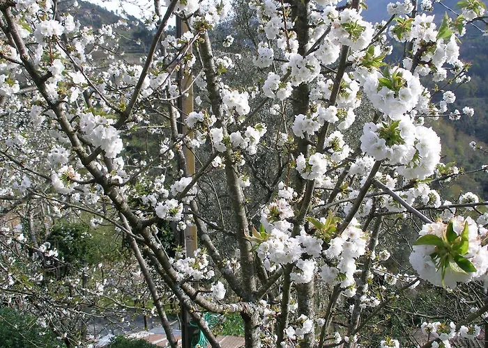 Casa di campagna Casa Do Moleiro